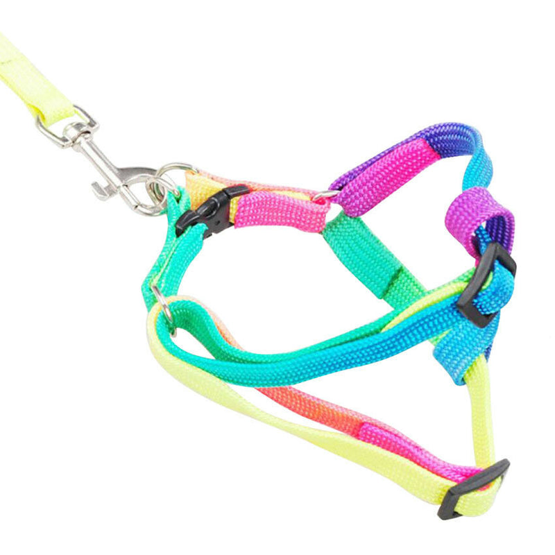 Pet Dog Running Traction Rope Dual Handle Pet supplies Leash Lead Strap