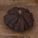 10pcs Natural Dried Lotus flowers decor flower arrangement Photoprop Photograph-