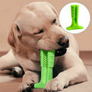 2x Durable Puppy Chew Toys Toothbrush Oral Dental Care Bite Resistant Safe