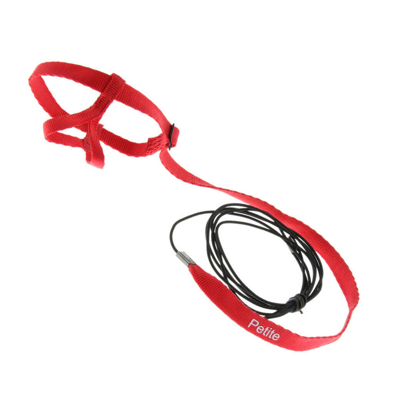 Parrot Bird Parakeet Leash Outdoor Adjustable Harness Training Rope Random