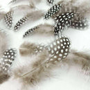 100PCS High Quality Guinea Fowl Feather Christmas Wedding Home Decoration HBB