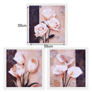 3 Canvas Oil Painting Wall Art Picture Hanging Poster Decor Flower Blooming