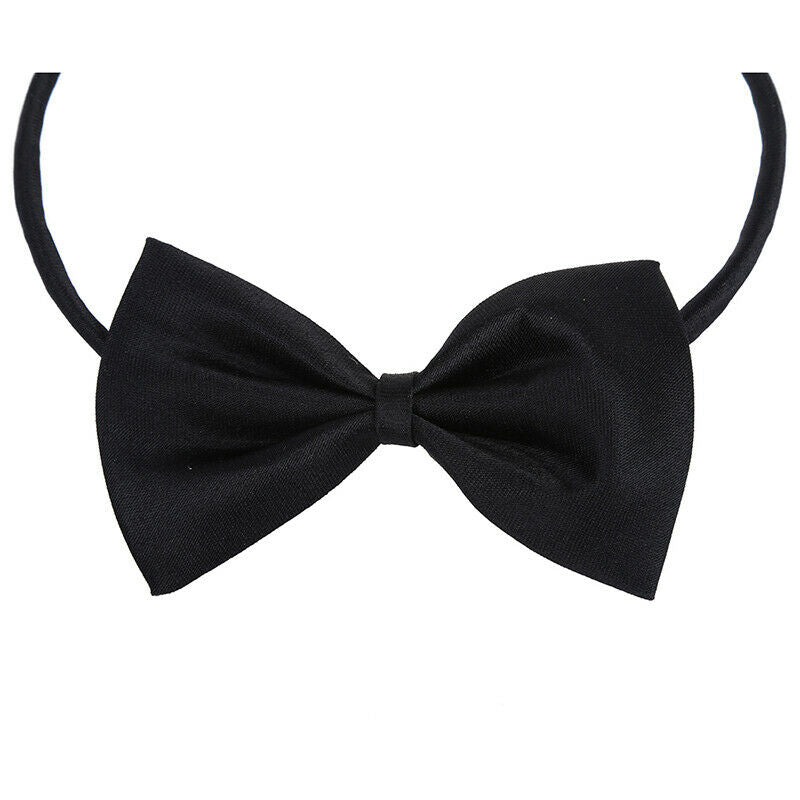 Pet Cat Dog Bow Tie - black F6D9