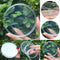 Clear Plastic Petri Dishes with Lids, Sterile, 90mm
