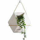 Modern Hanging Planter Vase, Geometric Wall Decor Container - Great For Suc