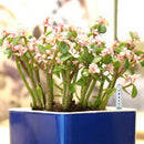 25pcs Water Level Indicator Soil Moisture Meter Humidity Sensor Probe For Plants