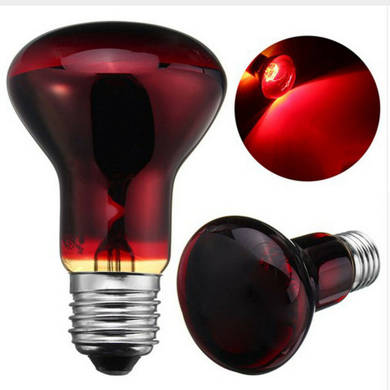 2x Reptile Terrarium UVA Heat Lamp Night-time Viewing Lighting 50W E27 Base
