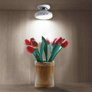 Motion Sensor Night Light, Detachable Magnet Base, USB Rechargeable LED, Hu
