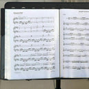 Music Sheet File Paper Documents Storage Folder Holder PVC.A4 Size,40 Pocke