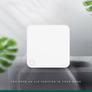Negative Ion Air Purifier Pollen Remove Super Quiet Air Cleaner for Bedroom