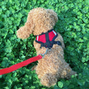 Adjustable Pet Dog Leads Chest Straps Small Pet Basic Halter Harnesses keep