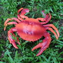 2 x Plastic Lobster & Crab Statue Ocean Animal Statue Garden Sculpture Decor