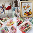 1Box Real Dried Leaf Flowers Plant Herbarium Jewelry Craft Home Decor newly