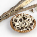 organic moringa oleifera50 seeds plants seeds drumstick tree tree natural SP