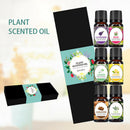 10ml 6 Bottles Essential Oil Box 100% Pure Nature Bottles for Aroma Diffuser