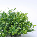 Artificial Water Grass Seeding Turtles Fish Tank Plants for Aquarium Decor