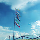 Red, Pink, Blue, Green, Black Japanese Windsock Carp Flag Koi Nobori Sailfish