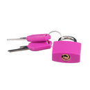 2 Pack Padlock With Two Keys Travel Luggage Security Lock Rose Red+Green
