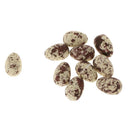 Set of 10pcs 1.2'' Speckled Decorated Faux Eggs Home Nature Craft Decor -YLW