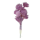 European Style Artificial Succulent Edelweiss Flocking Plant Decor