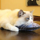 Plush Fish Shape Pet Cat Kitten Teaser Plaything Catnip Toys Pillow(20cm) A