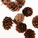 20pcs Pine Cones Party Decor Living Room Ornament Festival Favors