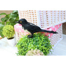 Realistic Magpie Bird Outdoor Garden Pond Ornament Sculpture Decoration