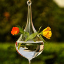 Water Drop Glass Hanging Vase Bottle Terrarium Container Plant Flower Diy T B8X9