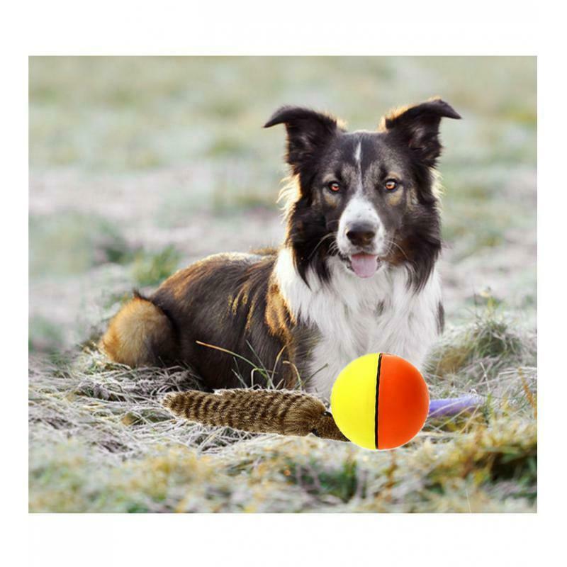 Pet Ball for Cat Dog Puppy Waterproof Rechargeable Rolling/Turn off Durable