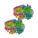 200Pcs Multicolor 2021 Aluminium Bird Dove Racing Pigeon Leg Rings Bands 8mm