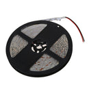 5M 5050 SMD White Waterproof 300 LED Strips Light Lamp Dimmer + Controller