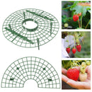 5pcs Strawberry Fruit Plant Support Holder Rack Stand Protection Garde SGK