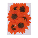 6pcs Pressed Dried Real Flower Sunflower Scrapbooking Embellishments Orange
