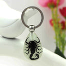 Glow-In-The-Dark Real Insect Keychain (Black Scorpion) G9T7