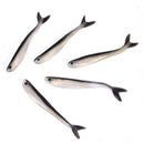 10pcs 80mm Soft Fishing Lure Minnow Saltwater Freshwater Worms Artificial B BX