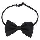 Pet Cat Dog Bow Tie - black