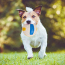 Pet Latex Squeak Sound Molar Ball Dog Interactive Chew Toys (Volleyball) A