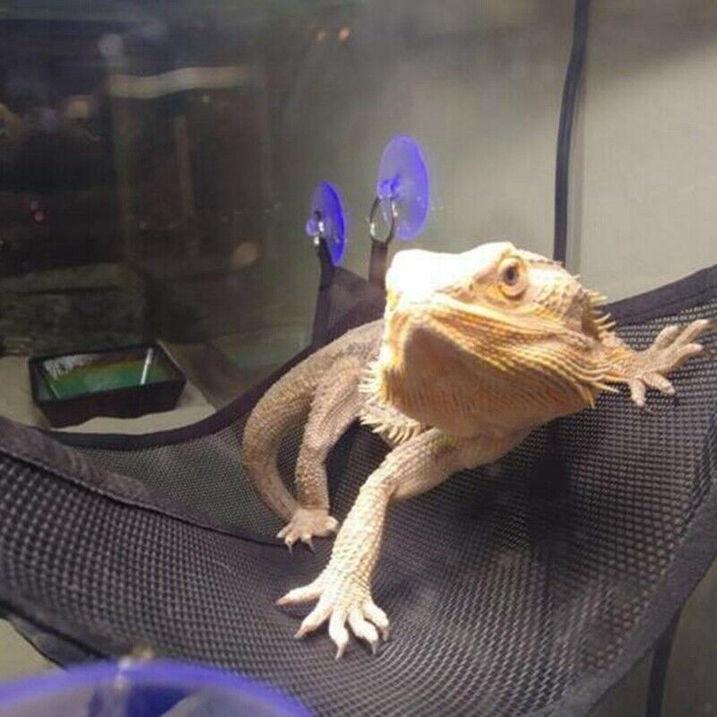 Reptile Hammock Lounger Ladder Accessories Set For Large Small Bearded Drag X8K2