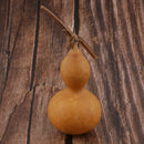 10Small Natural Dried Gourds Table Ornament