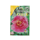 5pcs Herbaceous Peony Flower Seeds Rose Beautiful Bonsai Plant For Home G LJ