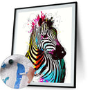Painting By Numbers Kit DIY Color Zebra Hand Painted Canvas Oil Art Picture