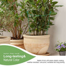 Garden Support Stake, 2-Pack Half Round Metal Garden Plant Supports, Garden