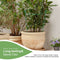 Garden Support Stake, 2-Pack Half Round Metal Garden Plant Supports, Garden
