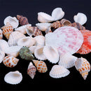 100g Fish Tank Beach Nautical DIY Mixed Sea Shells For Aquarium Craft Decor Intr