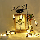 1.6m LED Kerosene Light String Battery Operated Garland Lantern Fairy Lamp A