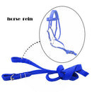 Durable Nylon Horse Bridle Headstall High Density Halter Blue Sas Described