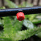 200 Pcs Adjustable Irrigation Sprinkler Drip Irrigation System ,Drip Adjust