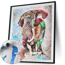 Painting By Numbers Kit DIY Color Elephant Canvas Oil Art Picture Craft