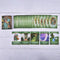 Tarot Cards Table Deck Board Game Life Purpose Oracle Cards Fortune TellingB Ew