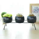 Set Of 3 Cement Succulent Planter Pots Round Flower Pot Black Flower Plante
